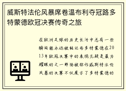 威斯特法伦风暴席卷温布利夺冠路多特蒙德欧冠决赛传奇之旅