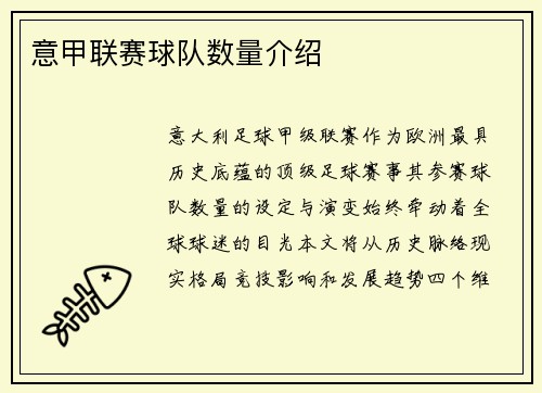 意甲联赛球队数量介绍