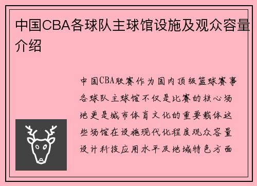 中国CBA各球队主球馆设施及观众容量介绍