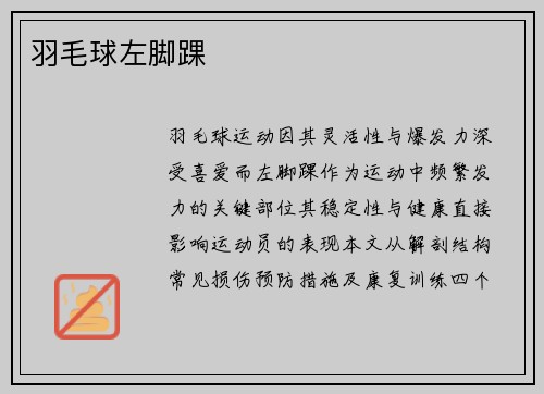 羽毛球左脚踝